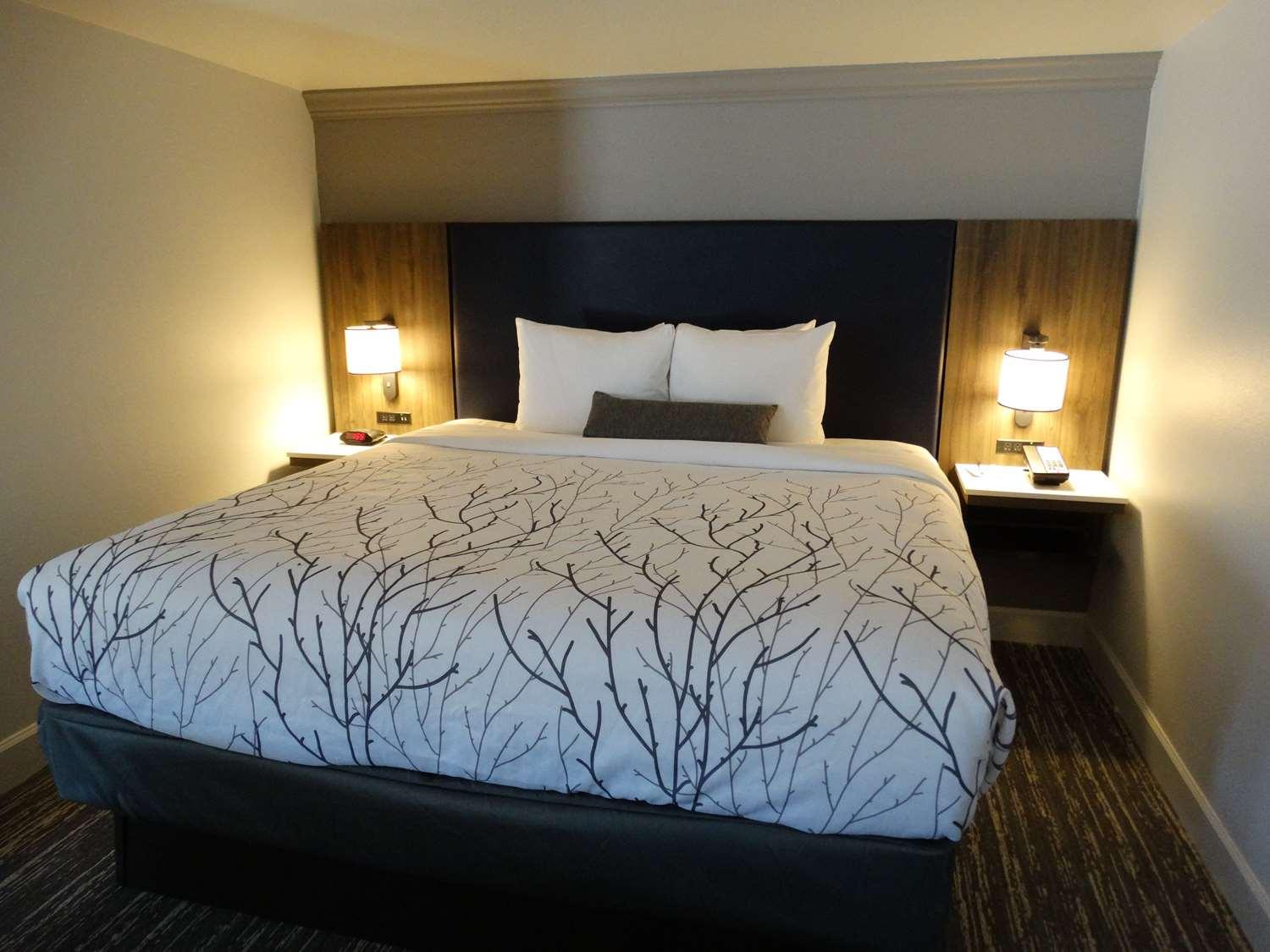 Best Western Premier Denver East Номер фото